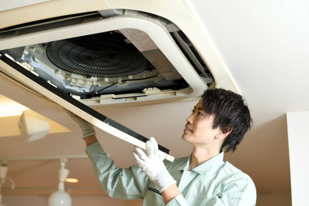 HVAC System Cleaning in Pine Level, AL